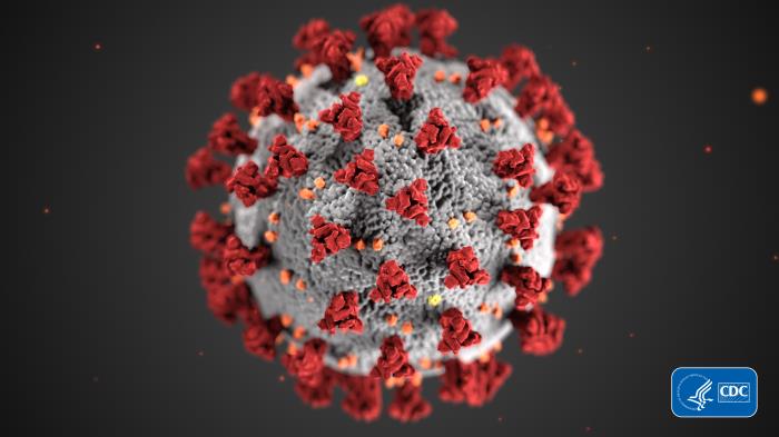 CDC Coronavirus