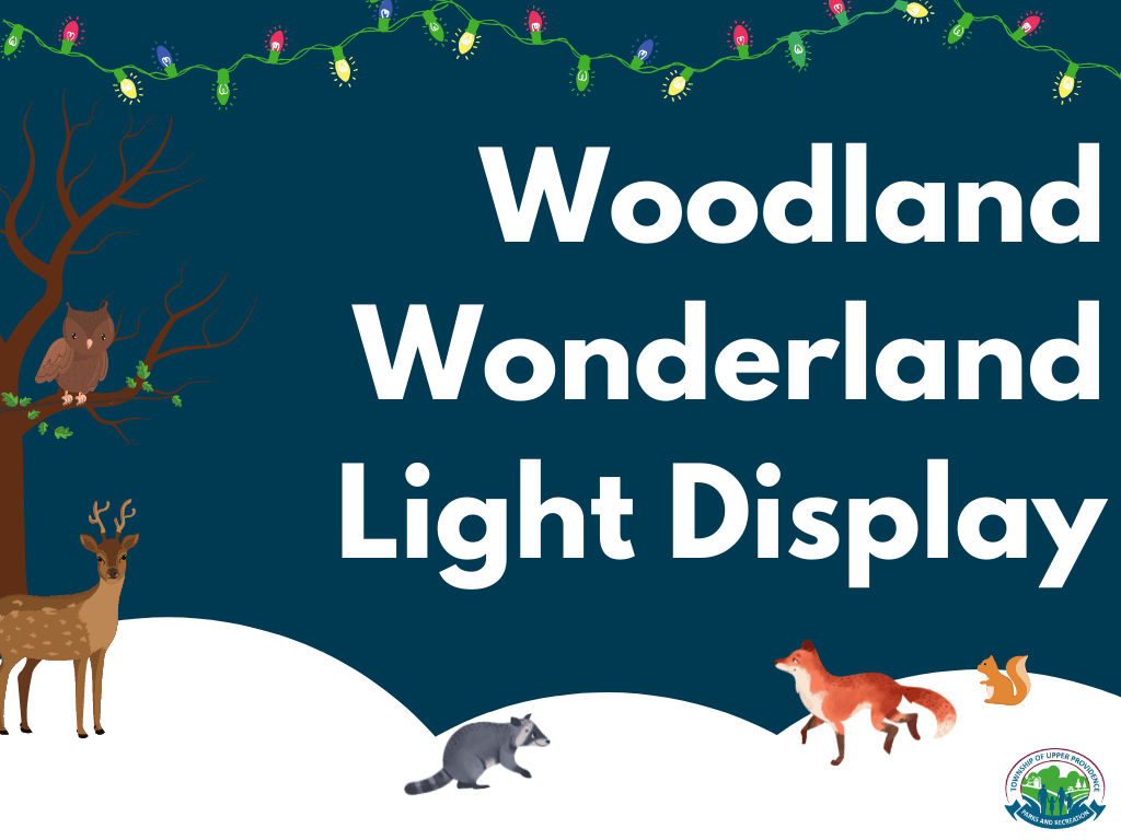 Copy of Copy of Woodland Wonderland Social