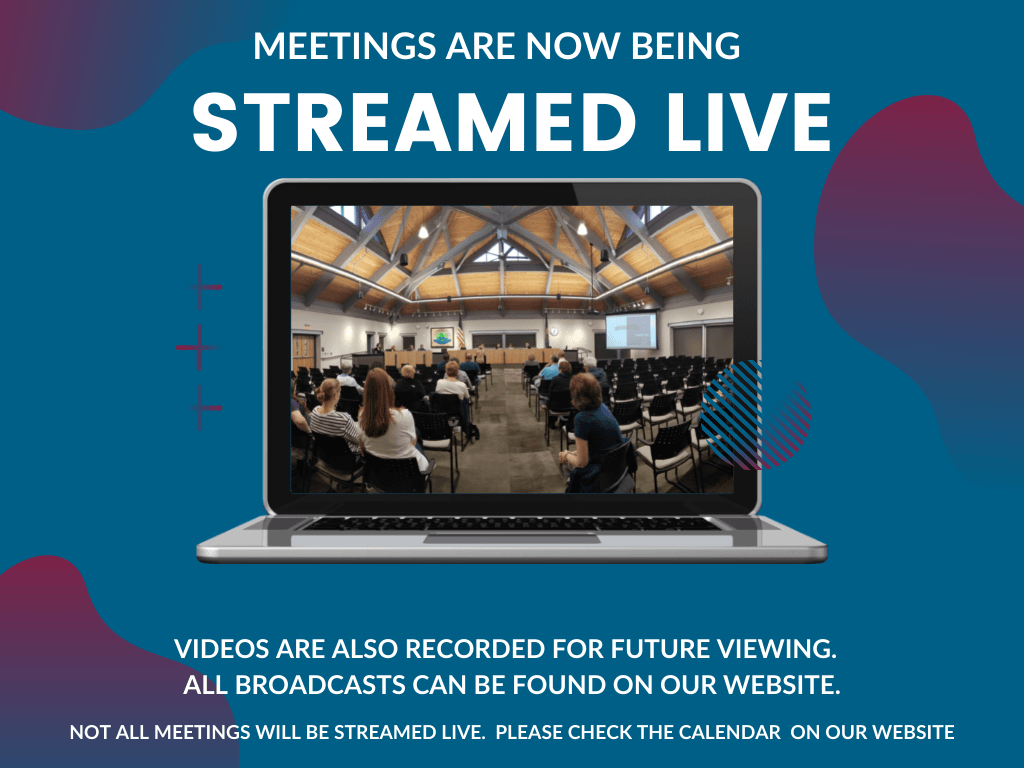 Virtual meeting (Presentation (43))