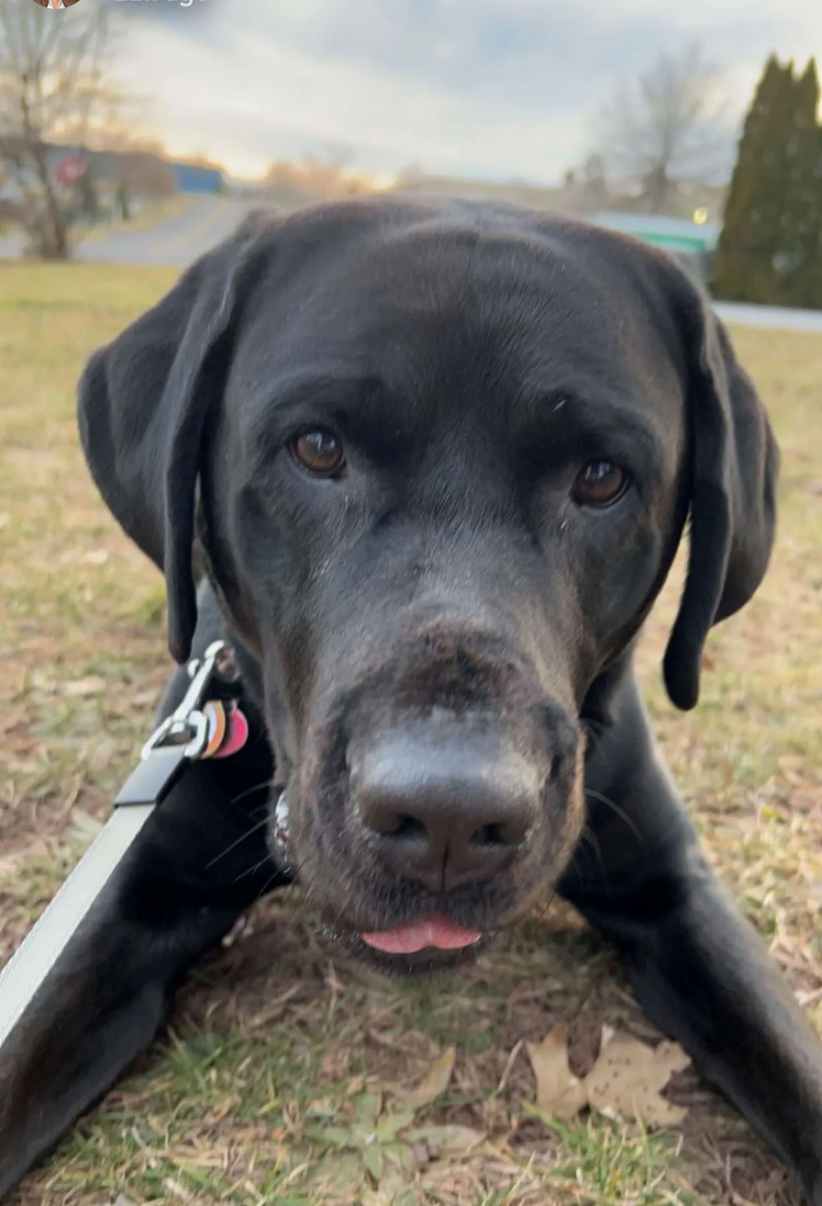 2bf5ef90-9fdc-15dc-7b7e-f13ee56f118d (1)