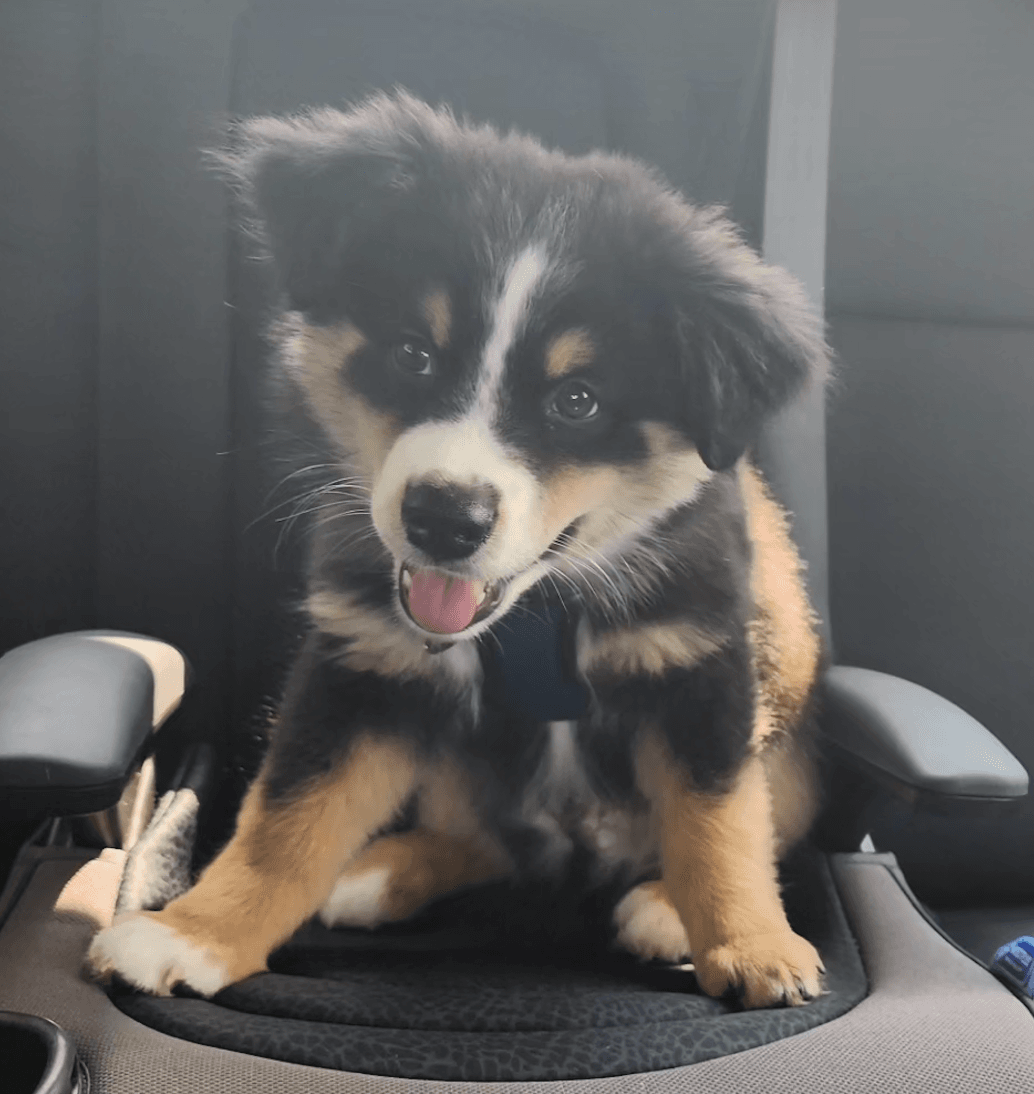 Screen Shot 2024-02-20 at 11.15.42 AM