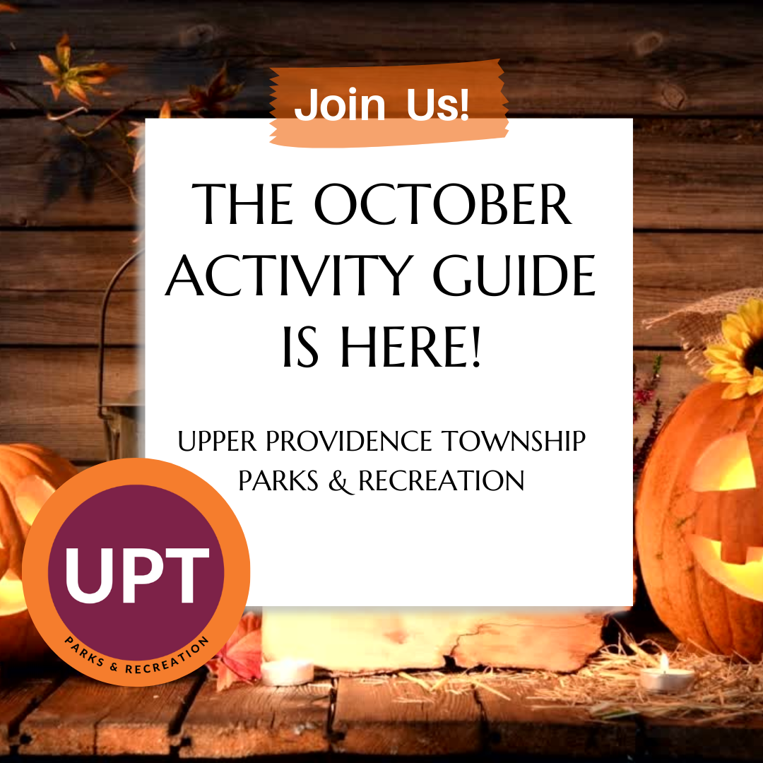 activity guides (October)