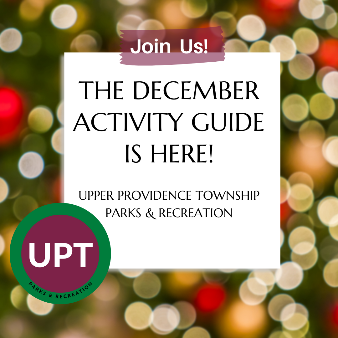 activity guides (11)