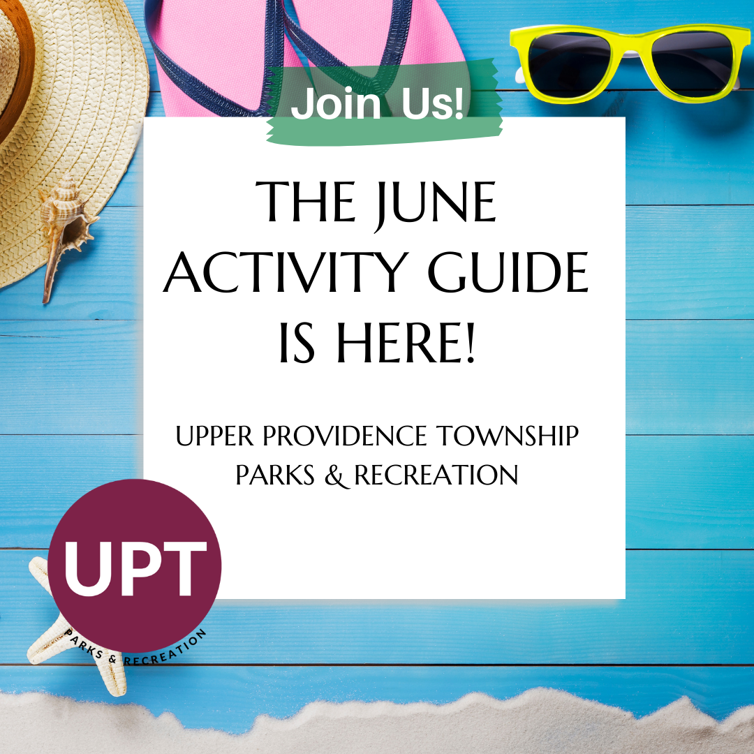 activity guides (15)