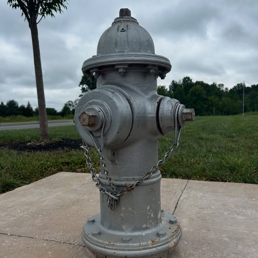 527018092_17894075307274827_7629833772935680540_n (1)