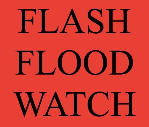 Screen Shot 2017-07-28 at 12.39.37 PM