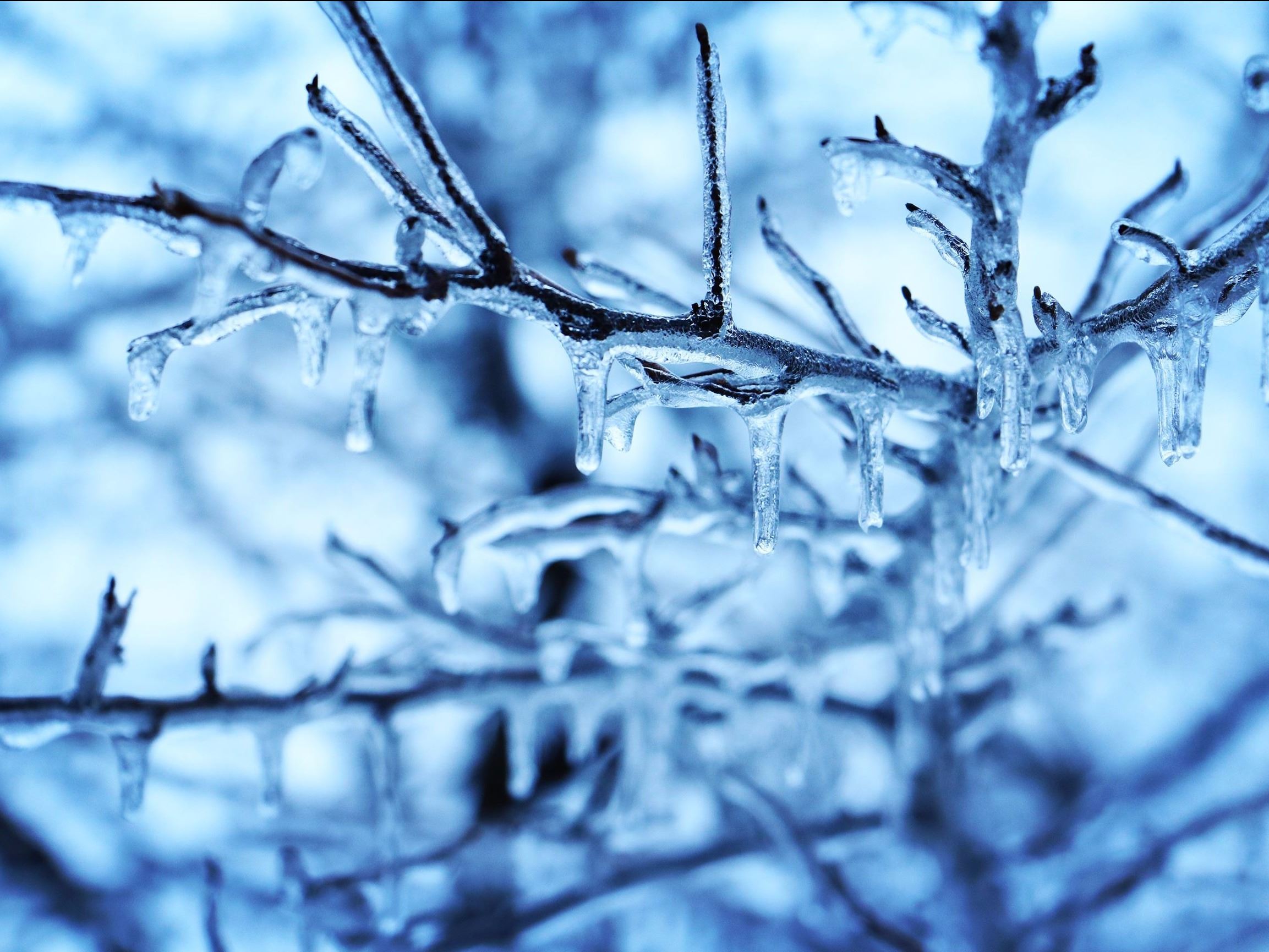 andrew-walton-w_andrew_j-instagram-183175