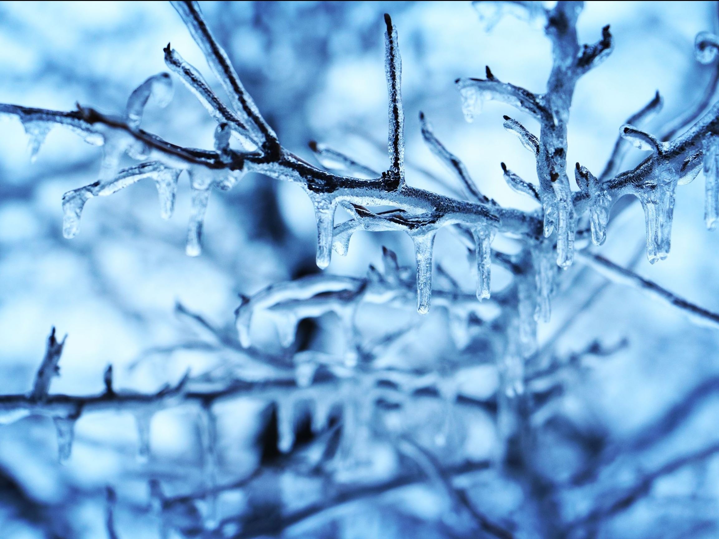 andrew-walton-w_andrew_j-instagram-183175