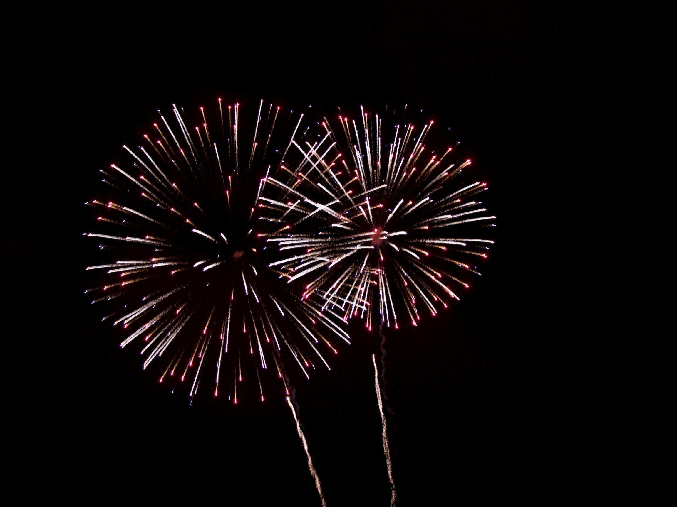 StockSnap_GYKA6CP3QO