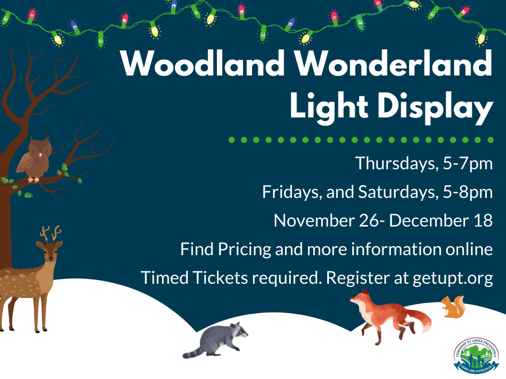 Copy of Woodland Wonderland Social (1)