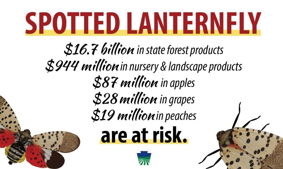 Spotted Lantern Fly Crops